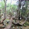 images/Schweden/Schweden 2009/IMG_4502.jpg